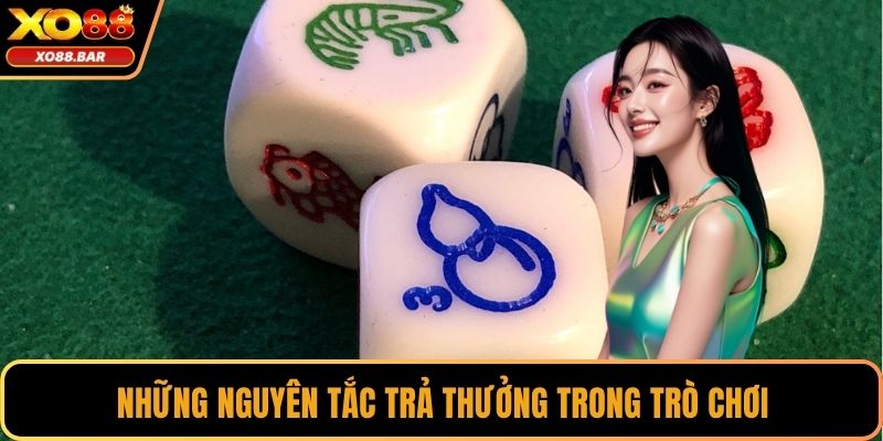Những nguyên tắc trả thưởng trong trò chơi